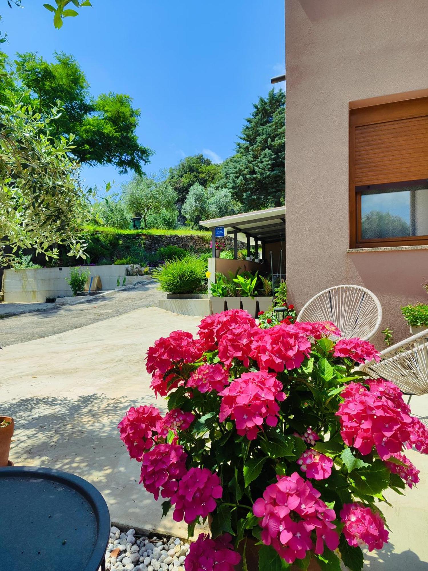 Ferienwohnung Cave With Free Parking Pula Exterior foto